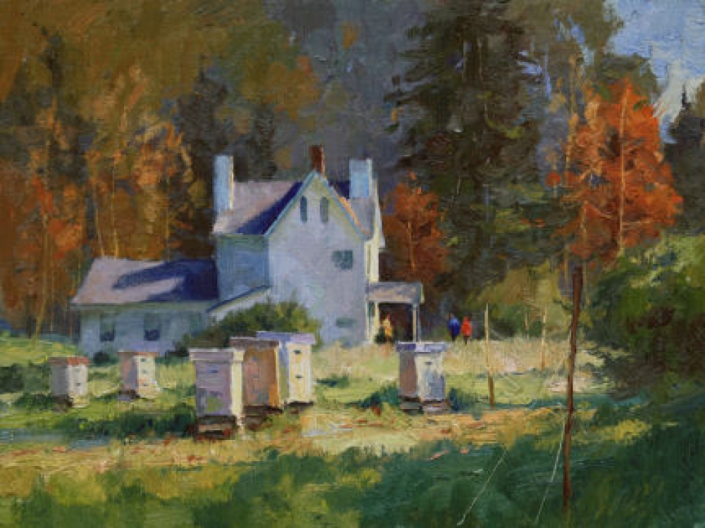 Bee Hives Bee Hives