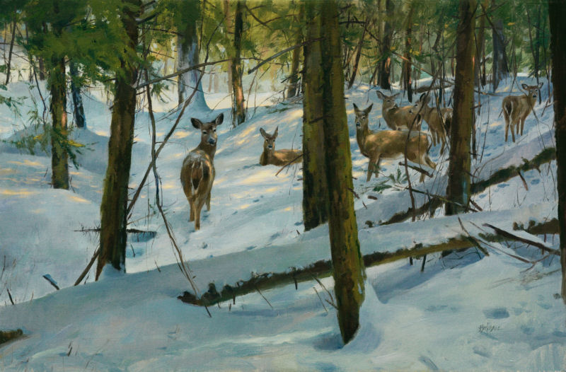 In the Dead of Winter In the Dead of Winter