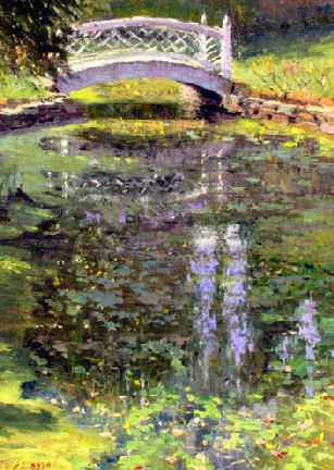 Dragonfly Heaven