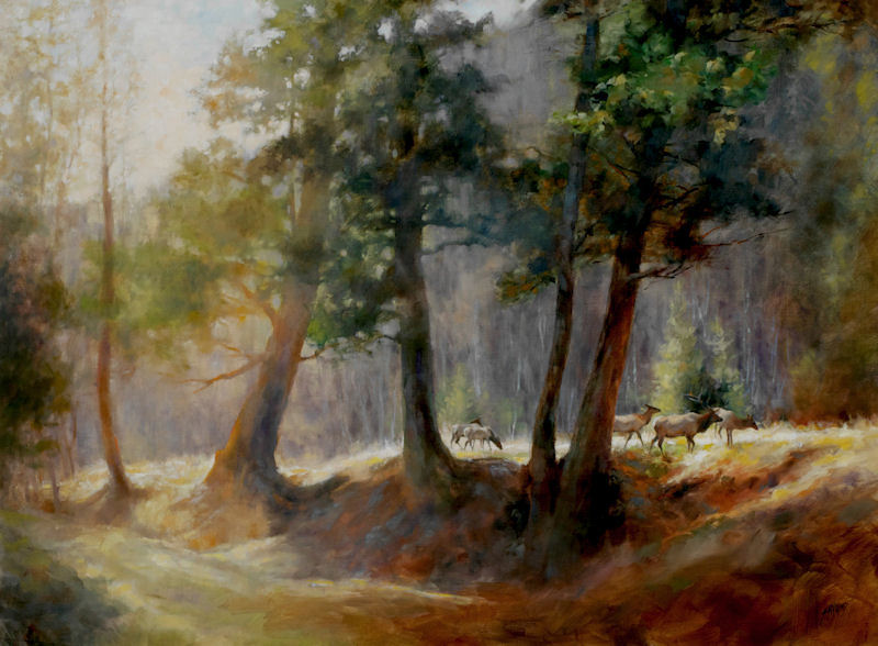 Susan Blackwood