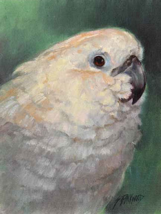 Bird Commission