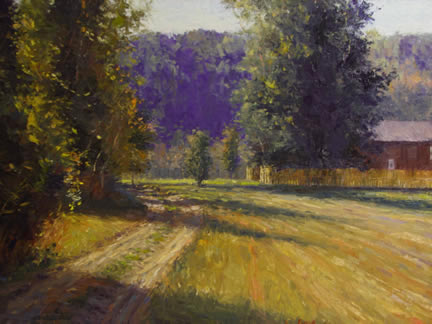Morning Shadows Morning Shadows