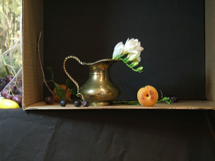Step 1. Still Life Setup