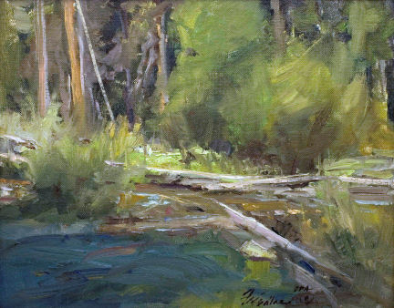 Along the Creek