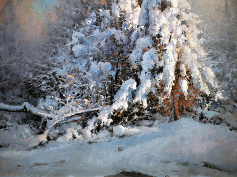 Winter's Cloak