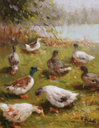 Ducks