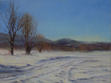Snow Drift