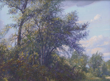 In the Countryside