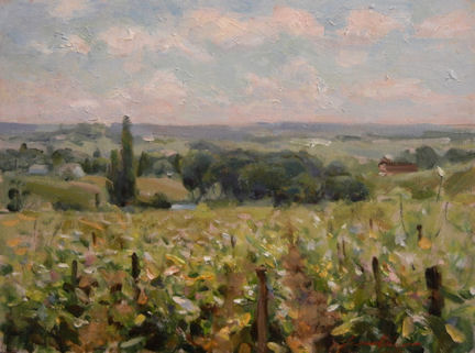 Vineyards De Burgandy Vineyards De Burgandy