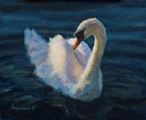  Click to See Sunlit Swan