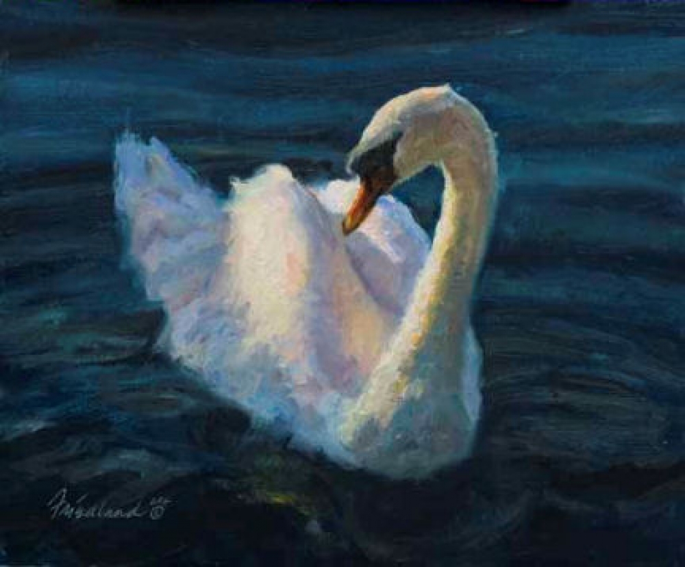 Sunlit Swan