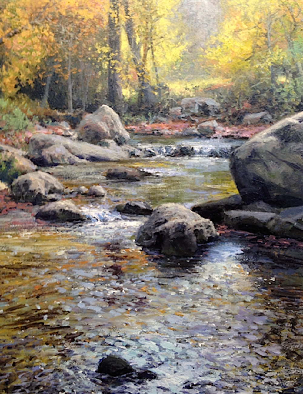 Autumn at Sligo Creek