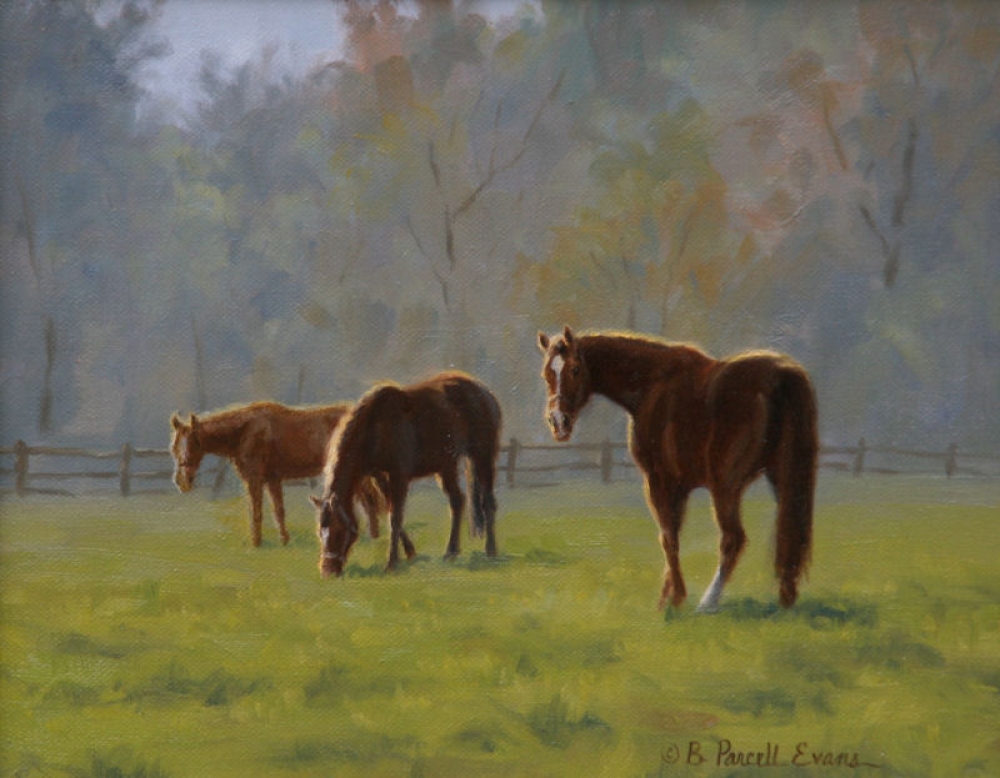Soft Morning Light