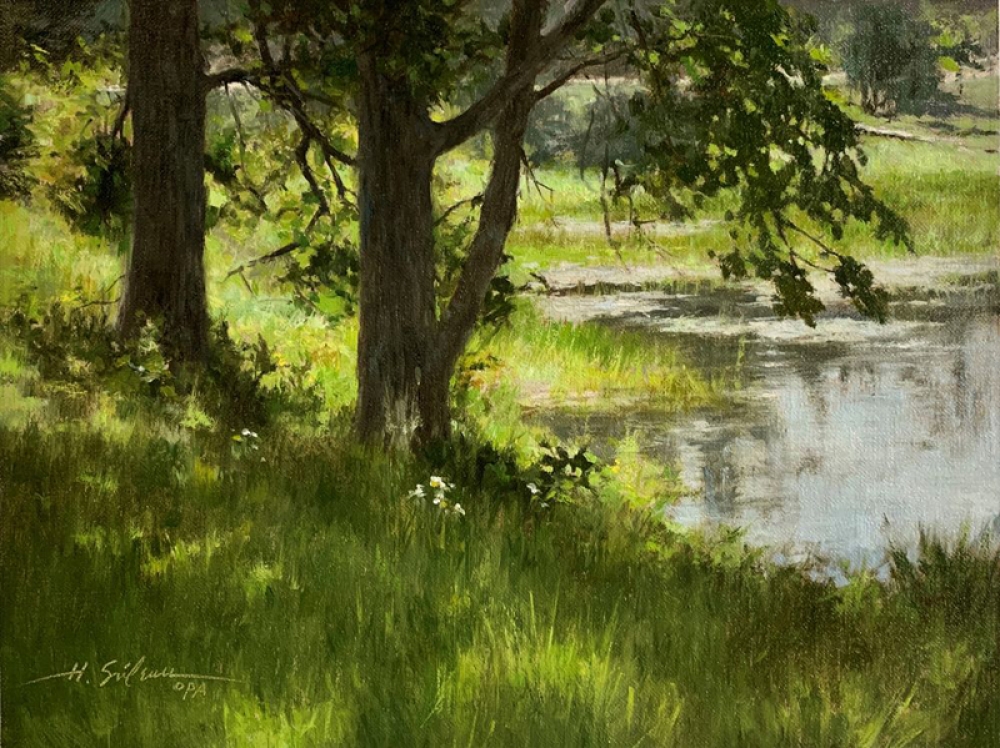 Summer Shade