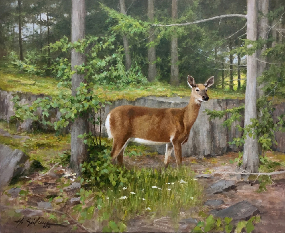 White Tail