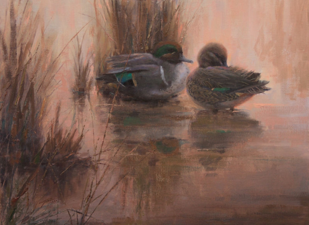 Teal in Morning Mist
