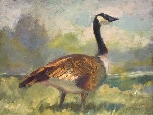  Click to See Shake a Tail Feather