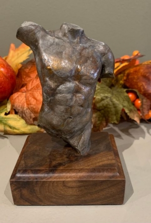  Click to See Male Torso