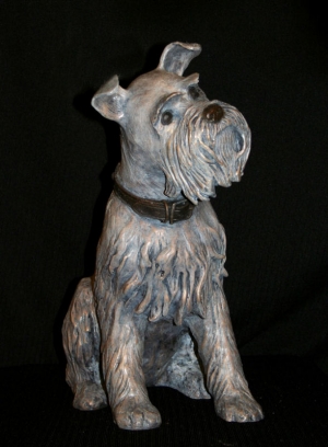  Click to See Schnauzer