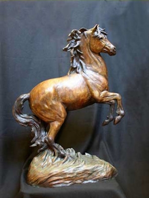  Click to See Untamed Beauty