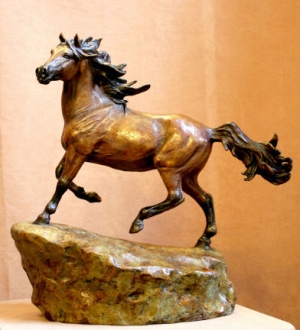  Click to See Wild Spirit