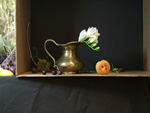 Step 1. Still Life Setup