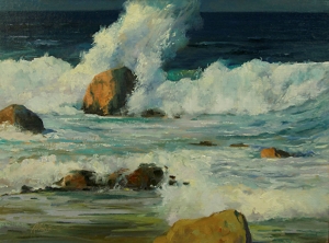  Click to See Coastal Surf