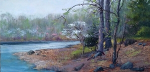  Click to See Dogwood Point