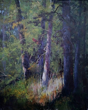  Click to See Forest Notes