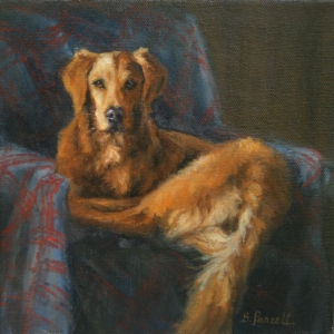  Click to See Comfy Chair