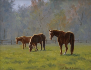  Click to See Soft Morning Light
