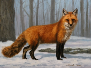  Click to See Winter Coat