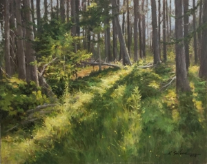  Click to See Forest Light