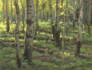  Click to See Teton Aspens